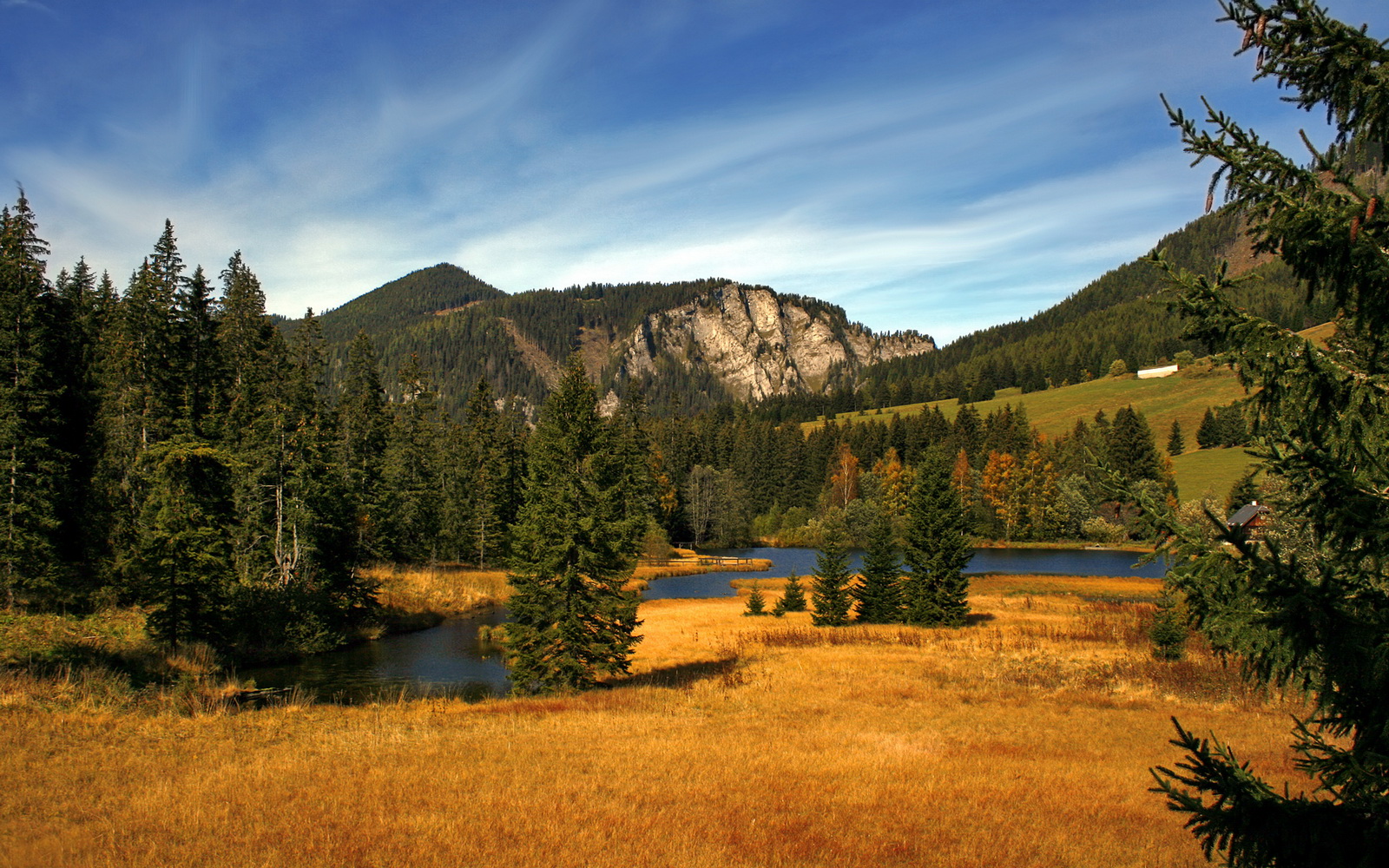 逆袭之战,哈斯绝地奇袭与阿隆索不熄之火