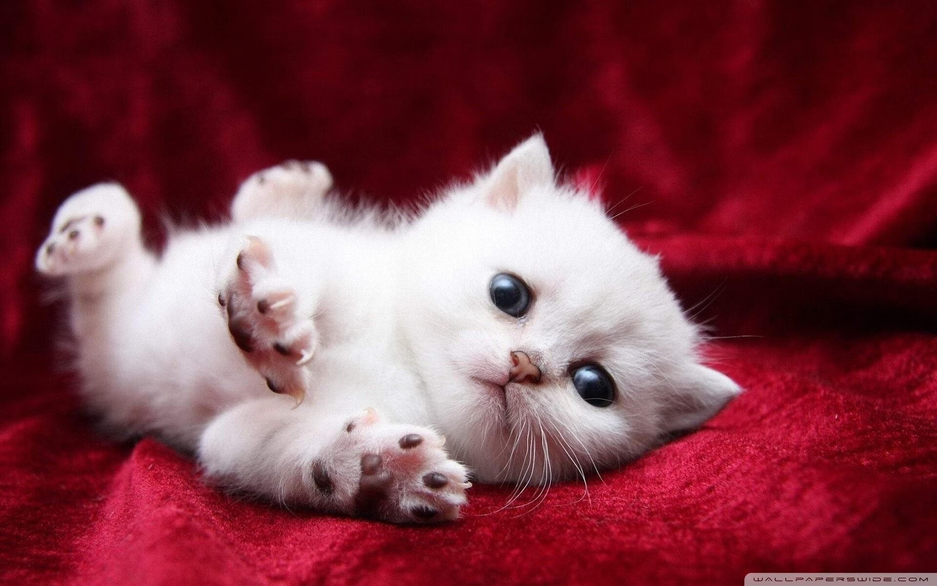 夜访童话镇，丹麦绝地反击，奥利维耶一骑绝尘