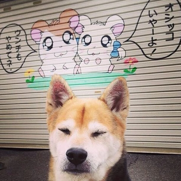 用绝对意志挑战历史尺度，团队背水一战，纳达尔震撼复出