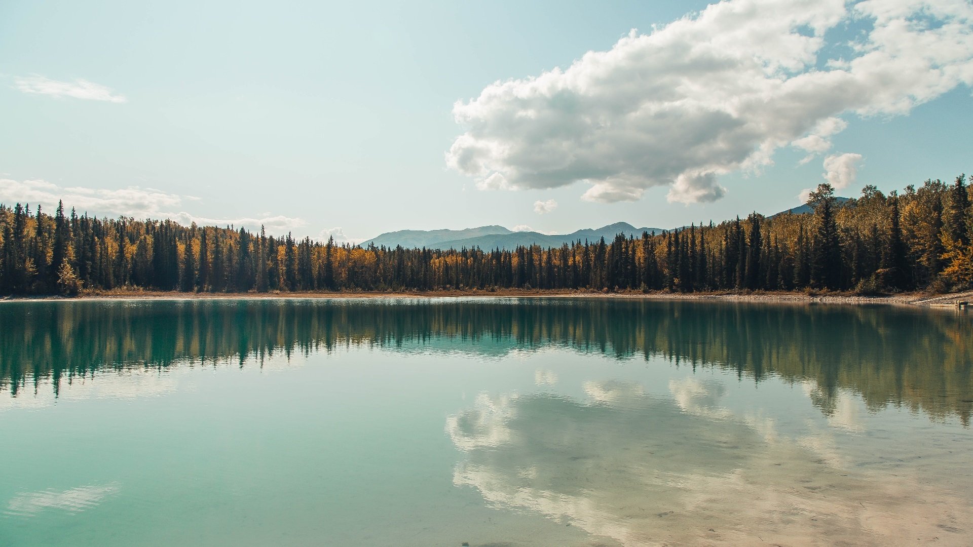 1.跨越温布尔登与都灵,西西帕斯书写场地无界的统治诗篇
