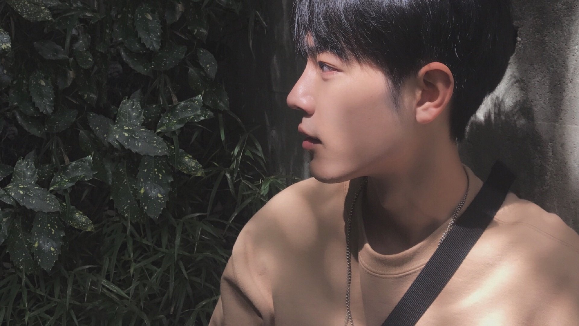 冰与火之歌，文班亚马的寒铁初啼与字母哥的熔岩淬炼