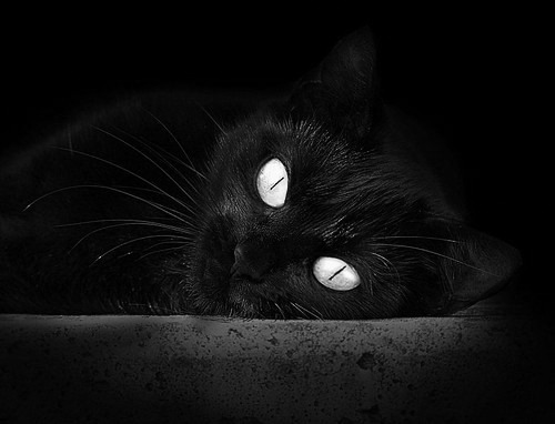 跨界风暴,深圳队强压76人,欧文欧冠决赛演绎篮球魔法