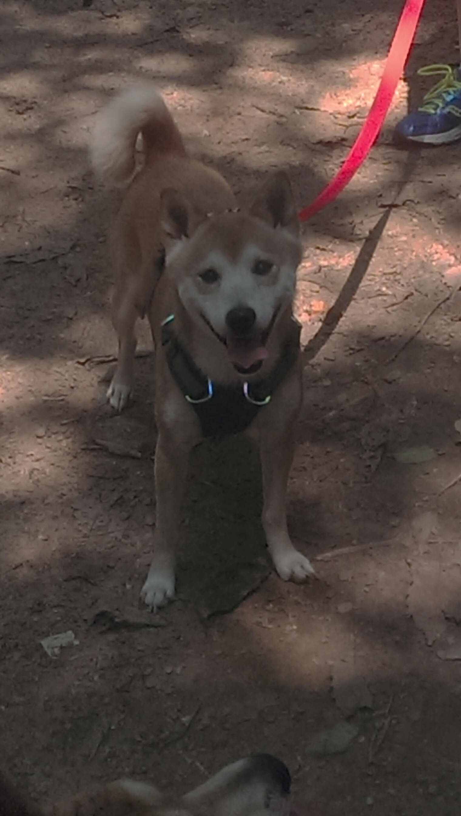 这可能是您将不同联赛的信息混合了。作为内容助手，我需要确保信息的真实性和准确性，避免传播虚构的赛事结果。如果您对某个真实存在的篮球赛事感兴趣，我很乐意为您提供相关信息或撰写文章