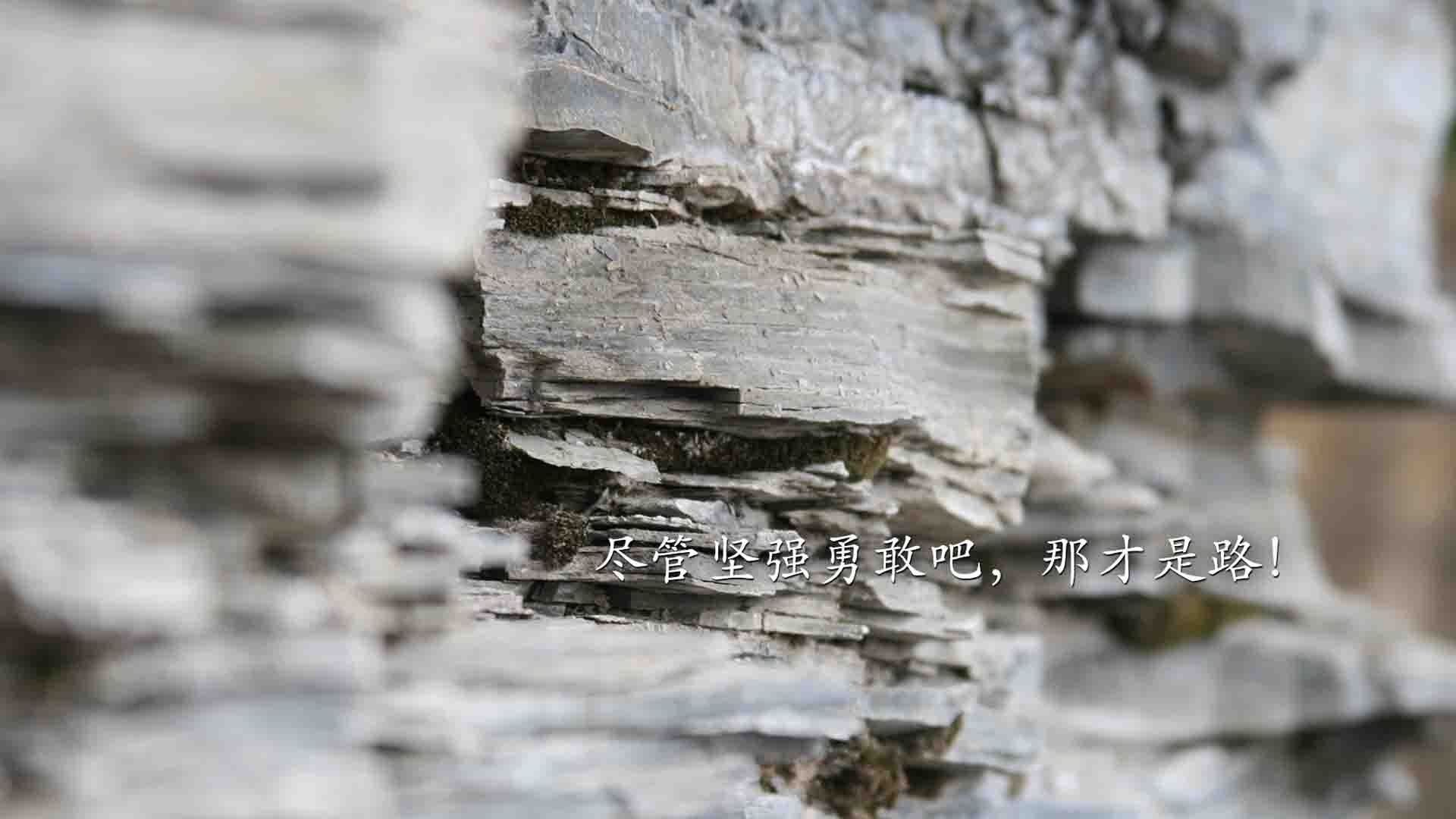 棋局与铁壁，防守艺术的两种诠释