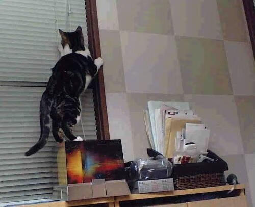 黎明刺破天鹅绒，当基耶萨的爆发将巴黎的夜色裁成旗帜