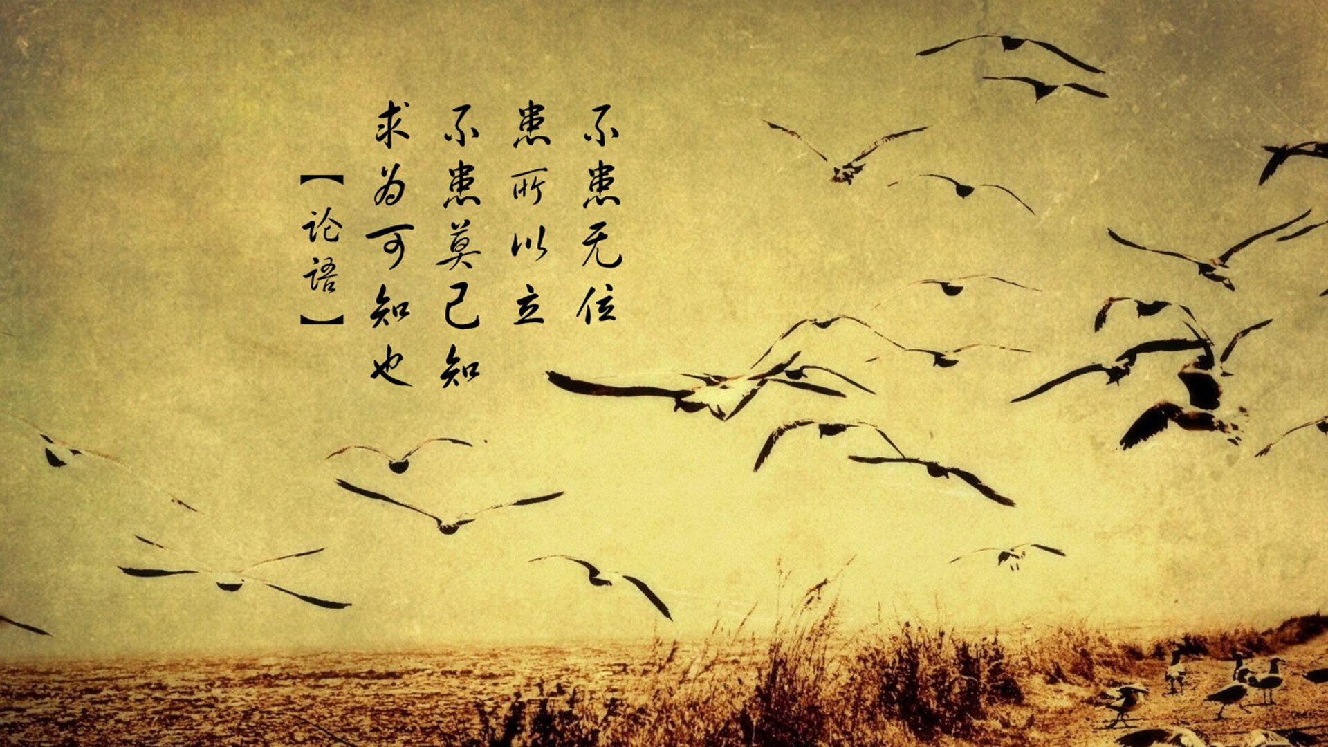 将星垂暮时，当保罗扛起一个时代的孤勇