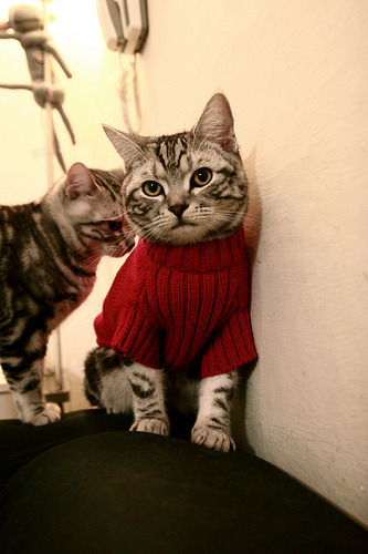 关键先生，从奥运战场到CBA赛场的唯一性瞬间