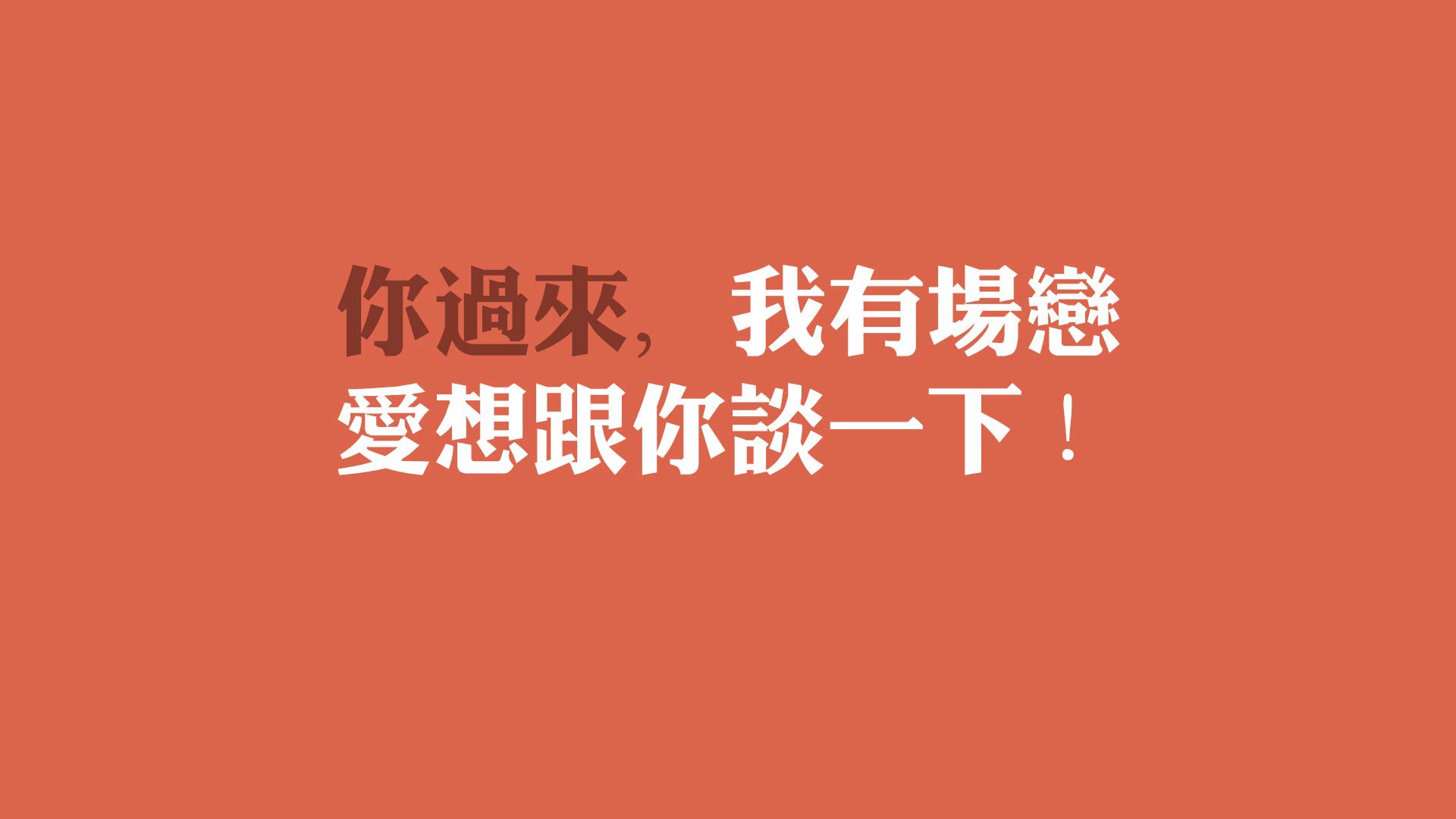 时间的织网,2026世界杯C组暗战,德容如何用节奏锁死喀麦隆野性