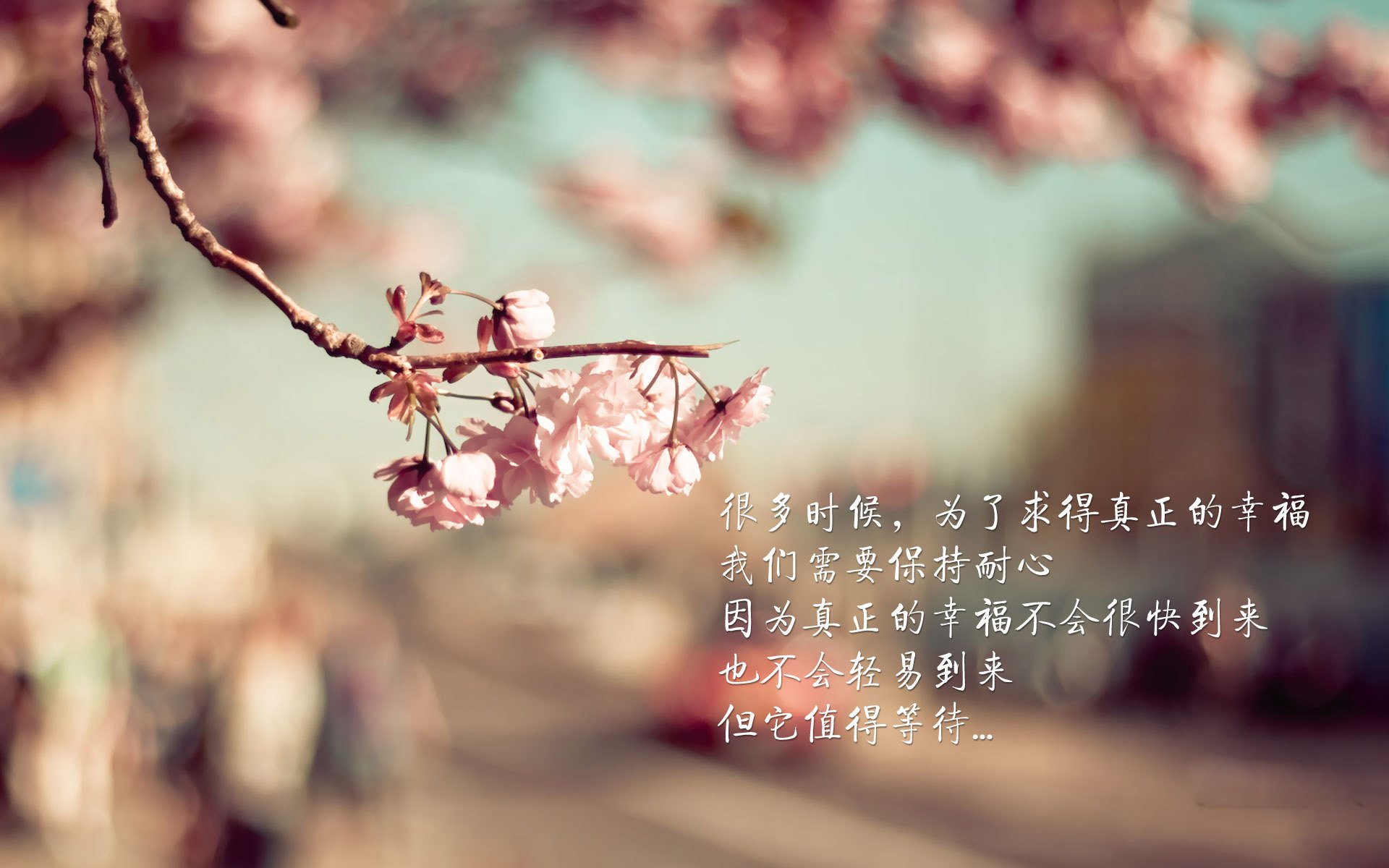 冰与火之歌,2026世界杯G组生死战,德容铁血防线铸就挪威奇迹之夜
