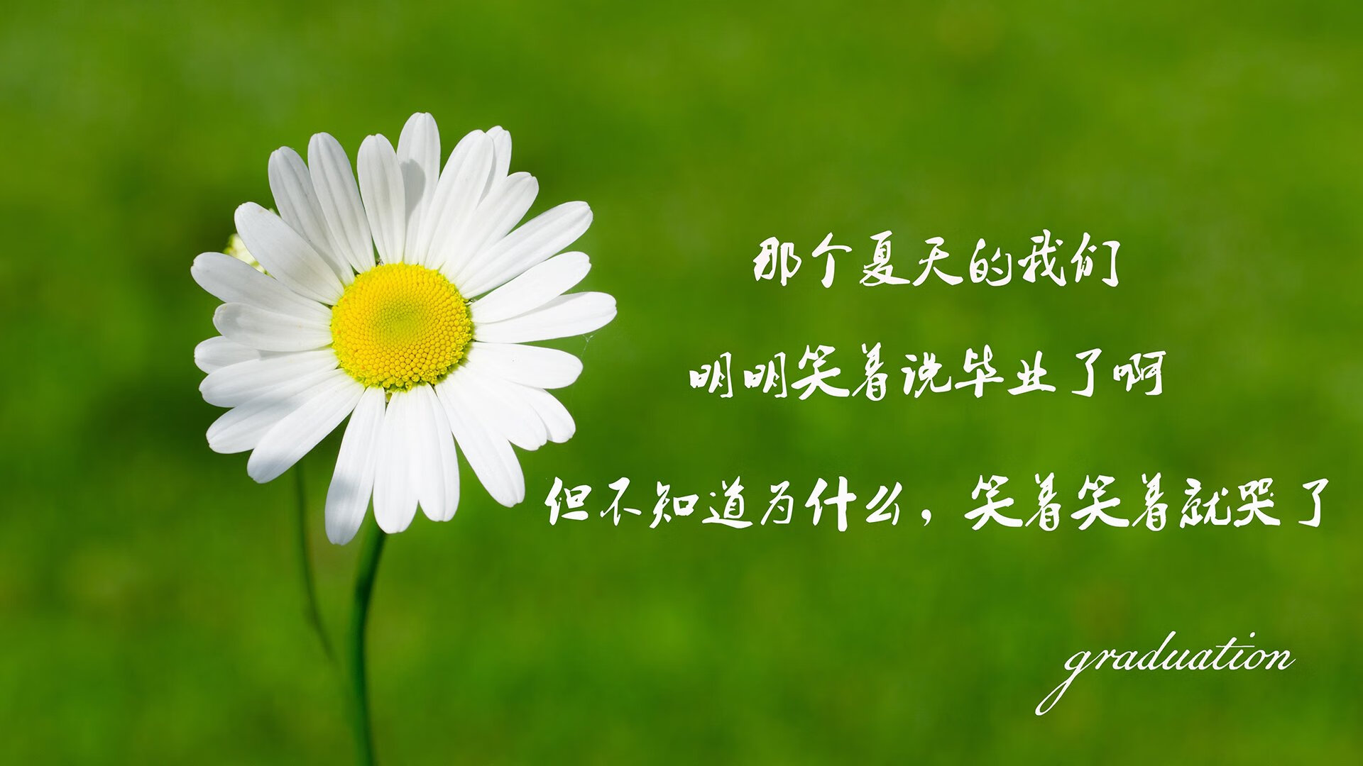 东方铁骑的绝唱,2026世界杯,乌兹别克斯坦用战术与意志刺破保加利亚的钢铁防线