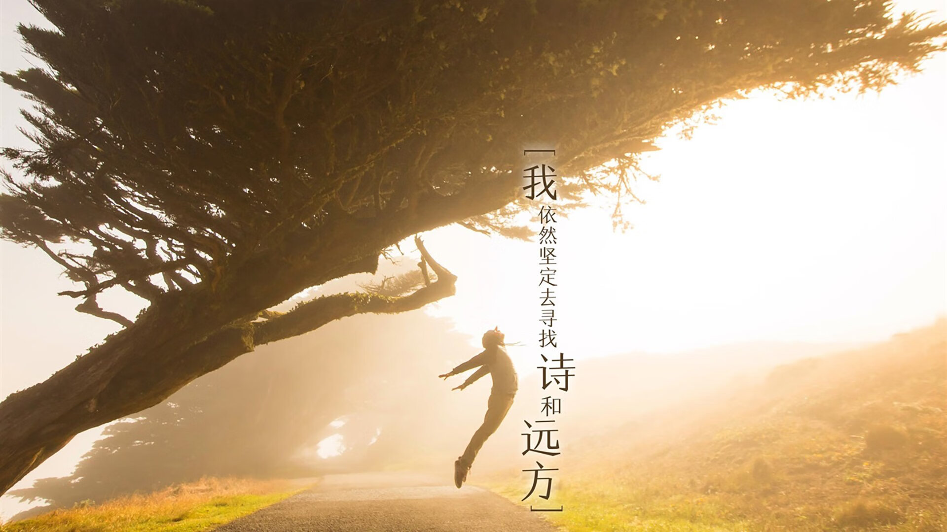 绝境中起舞，当莱万掌控节奏，厄瓜多尔在2026世界杯B组书写唯一神迹