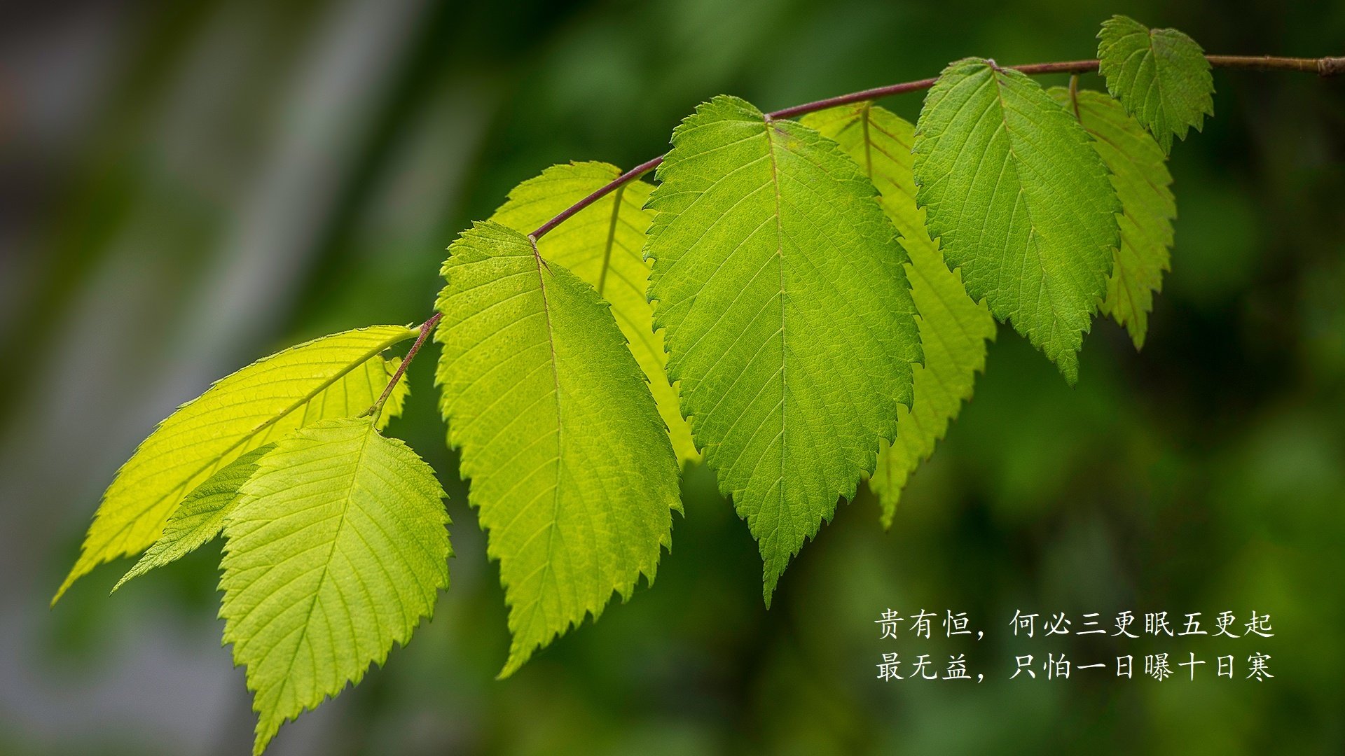 爱游戏在线-闪电战伦敦，福登统率三狮军团，英格兰用速度碾碎北欧童话